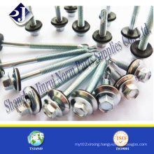Made in China Roofing Screw